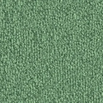 Vorwerk Safira Teppichboden Farbcode 4G67 – Draufsicht ohne Etikett